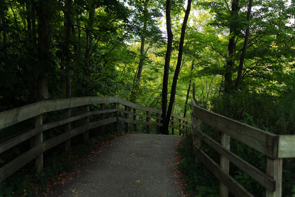 A wooded boardwalk path through the trees near Columbus, Ohio
