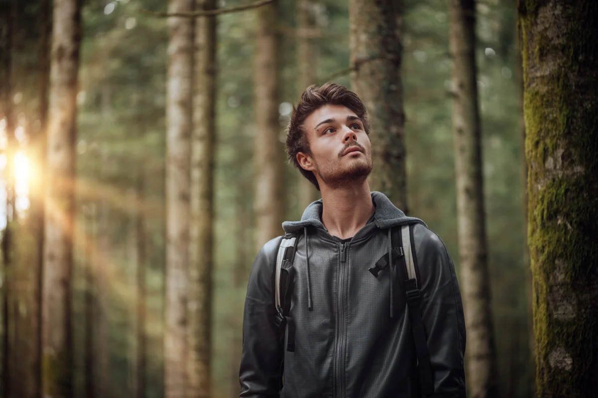 Man in forest looking at trees